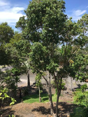 Agroturismo Coco-nut Hale