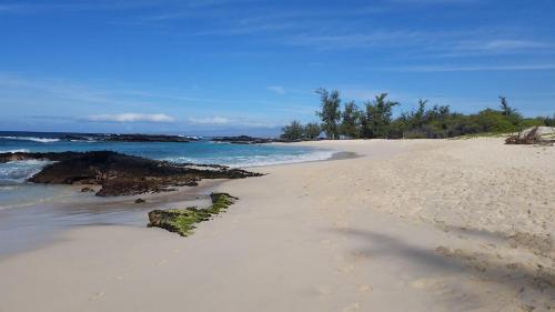 Agroturismo Lymans Vacation Rental