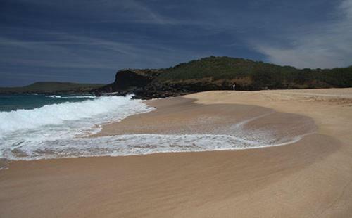 Apartamento Molokai_shores 231