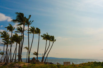 Hotel Maui Sunseeker Resort