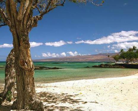 Apartamentos Mauna Lani Terrace By South Kohala Management