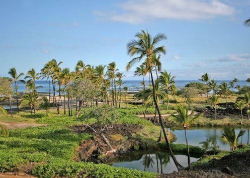 Apartamentos Mauna Lani Terrace By South Kohala Management
