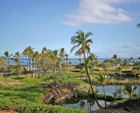 Apartamentos Mauna Lani Terrace By South Kohala Management