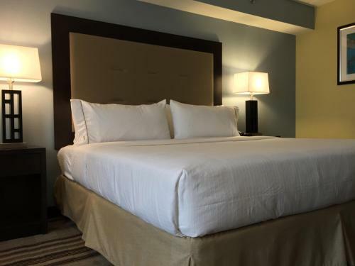 Hotel Holiday Inn Express Arlington Heights