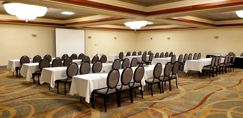 Hotel Holiday Inn Chicago - Countryside/lagrange