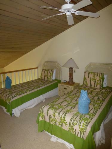 Apartamento Mahina Surf