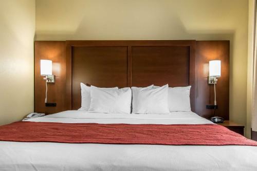 Hotel Comfort Suites Effingham