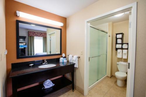 Hotel Hampton Inn & Suites Effingham