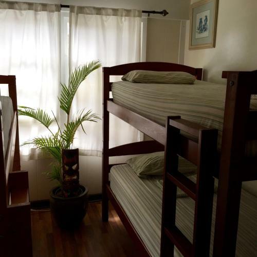 The Tiki Hale Hostel