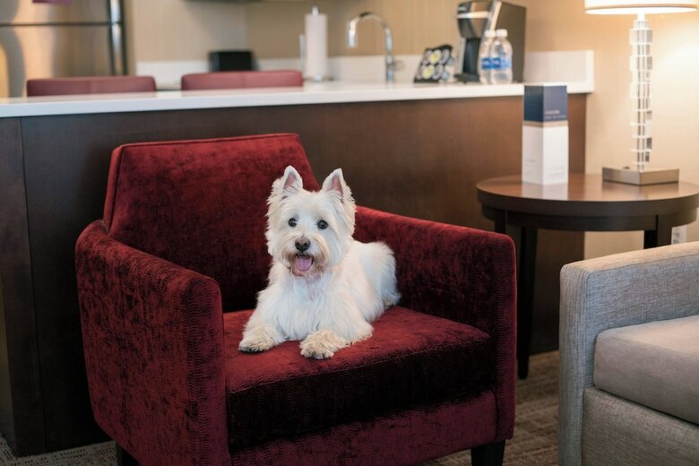 Hotel Residence Inn By Marriott Chicago Downtown/loop
