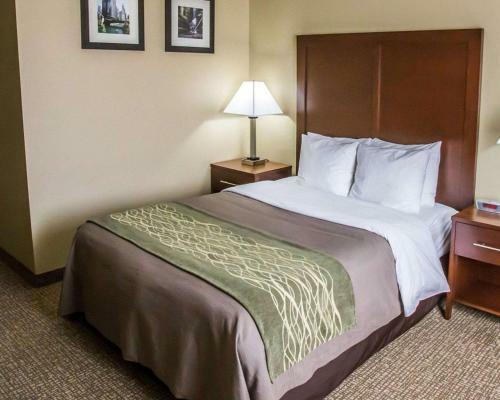 Hotel Comfort Inn Morris