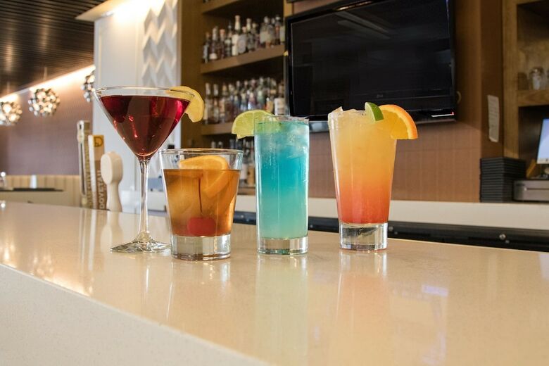 Hotel Chicago Marriott Naperville