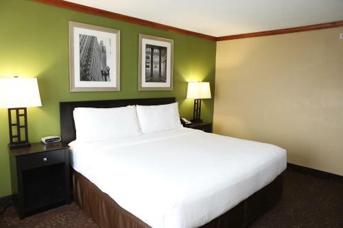 Hotel Holiday Inn Chicago/oak Brook