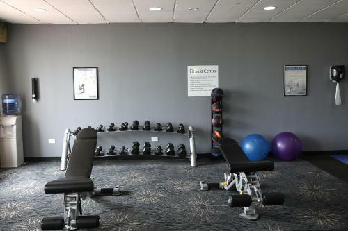 Hotel Holiday Inn Chicago/oak Brook