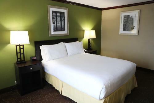 Hotel Holiday Inn Chicago/oak Brook
