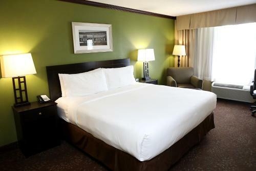 Hotel Holiday Inn Chicago/oak Brook