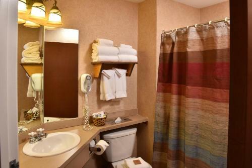 Stoney Creek Hotel And Conference Center - Quincy