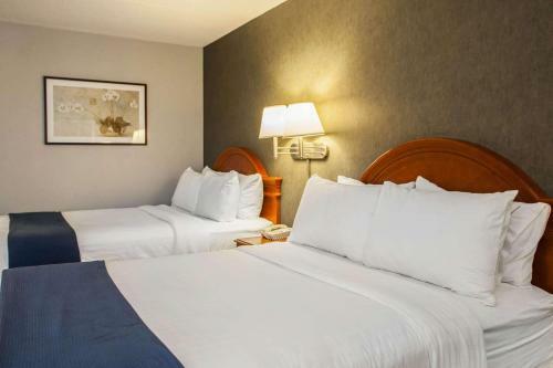Hotel Quality Inn & Suites St. Charles