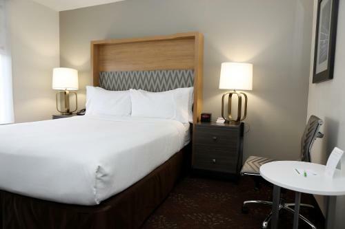 Hotel Holiday Inn O'hare Area