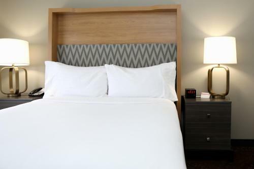 Hotel Holiday Inn O'hare Area