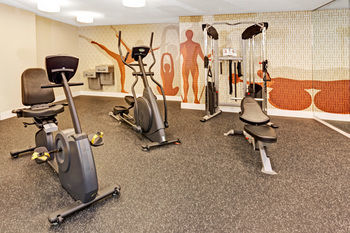 Hotel Hawthorn Suites By Wyndham Chicago Schaumburg