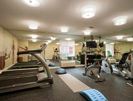 Hotel Hawthorn Suites By Wyndham Chicago Schaumburg