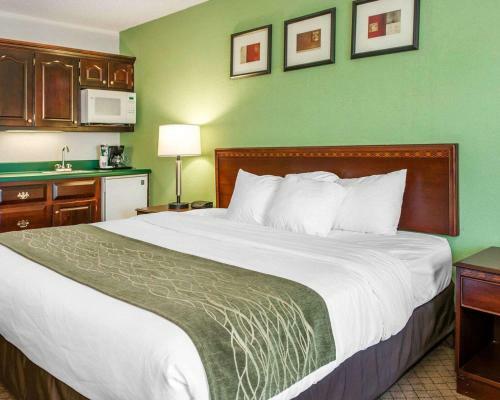 Hotel Comfort Inn Goshen