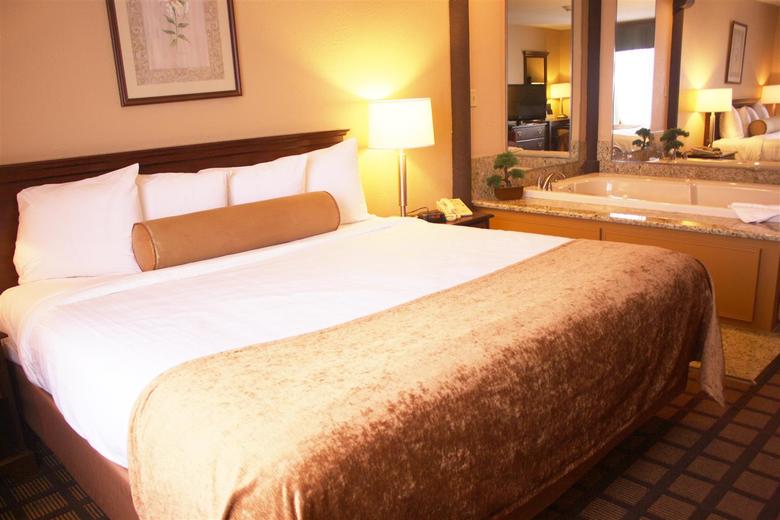 Hotel Best Western Inn & Suites Merrillville