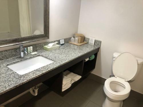 Hotel Quality Inn Rochester