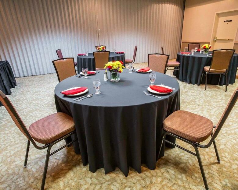 Hotel Comfort Suites University Area