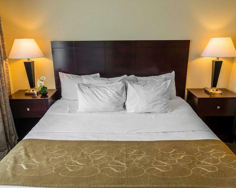 Hotel Comfort Suites University Area