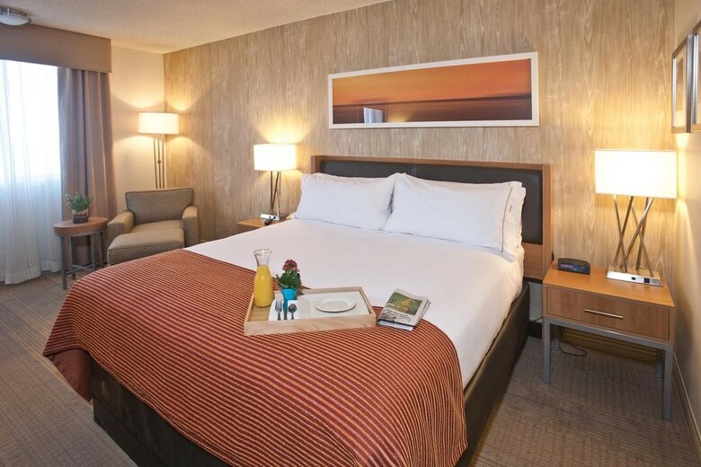 Hotel Holiday Inn Express South
