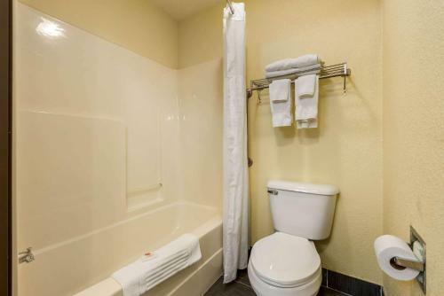 Hotel Comfort Inn
