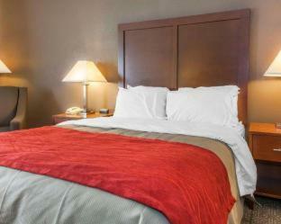 Hotel Comfort Inn