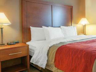 Hotel Comfort Inn