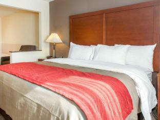Hotel Comfort Inn
