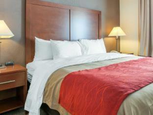 Hotel Comfort Inn