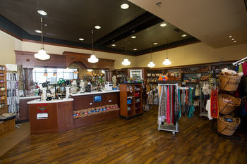 Pzazz! Resort Hotel And Catfish Bend Inn & Spa