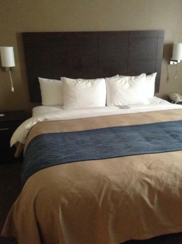 Hotel Comfort Inn And Suites Waterloo