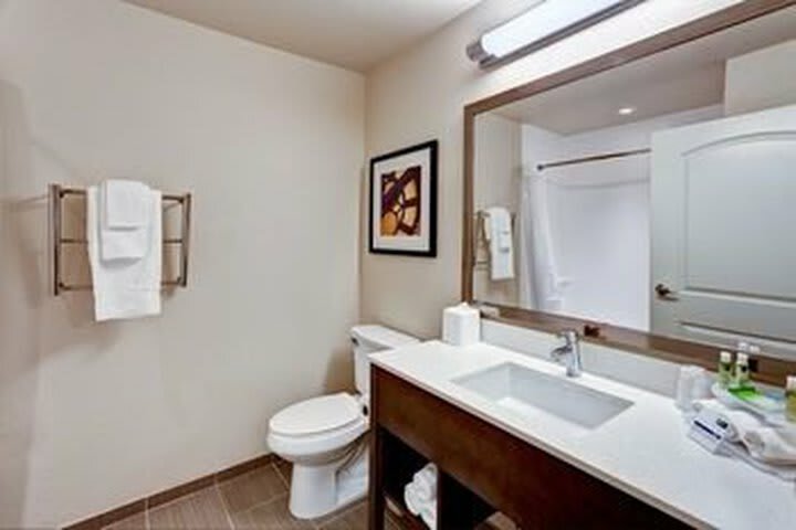 Hotel Holiday Inn Express & Suites Manhattan