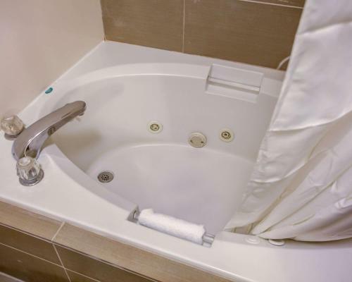 Hotel Comfort Suites Georgetown