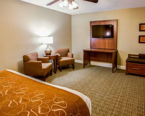 Hotel Comfort Suites Georgetown