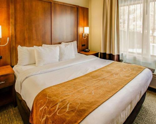 Hotel Comfort Suites Georgetown