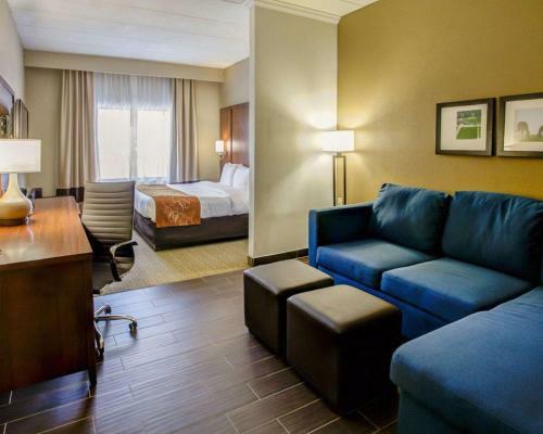 Hotel Comfort Suites Georgetown
