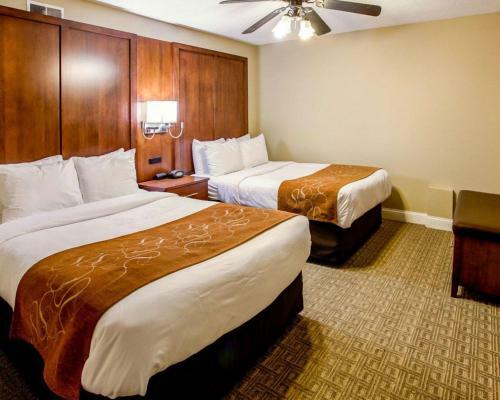 Hotel Comfort Suites Georgetown