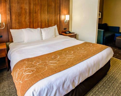 Hotel Comfort Suites Georgetown
