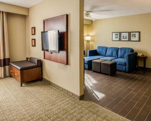 Hotel Comfort Suites Georgetown