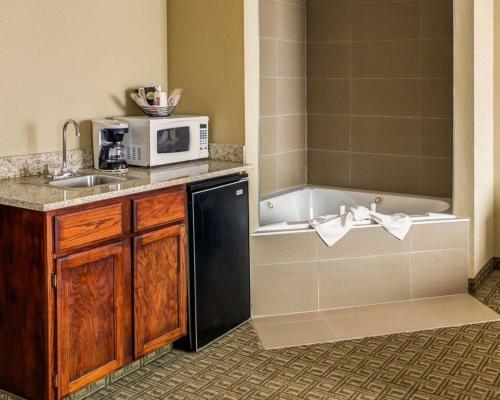 Hotel Comfort Suites Georgetown