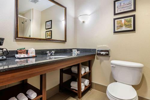 Hotel Comfort Suites Cincinnati Airport