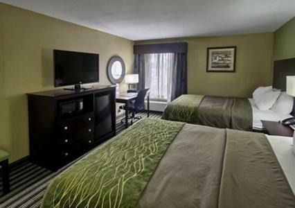 Hotel Comfort Inn Alexandria